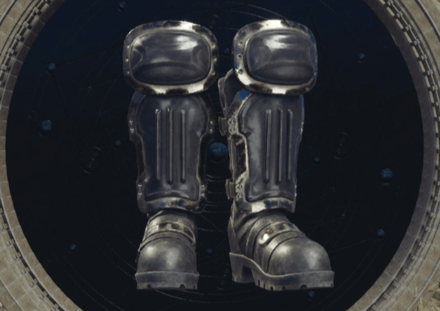 Protective Boots Image
