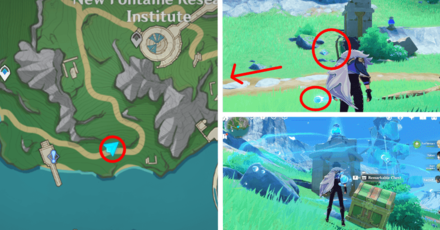 Genshin - Fontaine Remarkable Chest 41