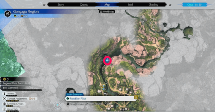 Warding ingame location