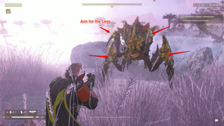 Helldivers 2 - Aim for the Brood Commander