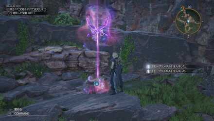 FF7 Rebirth - Pirate King