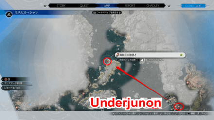 FF7 Rebirth - Pirate King