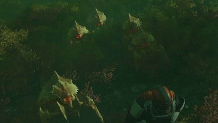 Helldivers 2 - Standard Scavenger