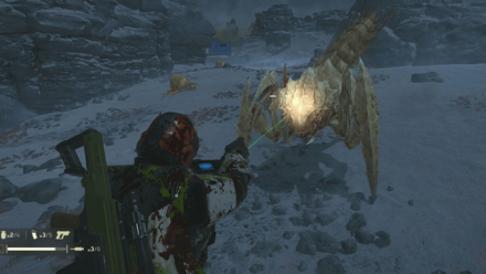 Helldivers 2 - Shoot Warrior