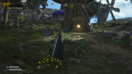 Grasslands Moogle Intel In Game