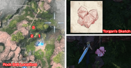 FF7 Rebirth - Collect 3 Rock Salts