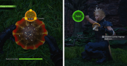 FF7 Rebirth - Magonga Mushroom Picking Minigame