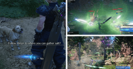 FF7 Rebirth - Follow and Protect Melon