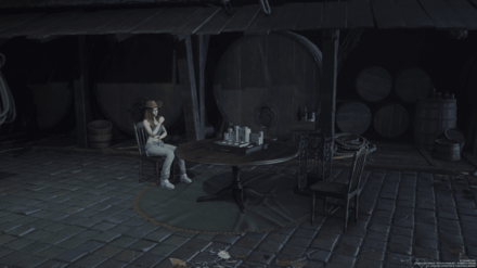 FF7 Rebirth - Isabelle Overworld