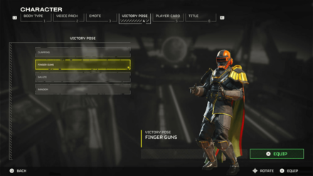 Helldivers 2 - Victory Pose