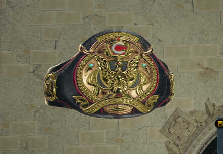 Champion Belt Image