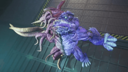 Forgotten Specimen Image