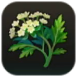 Unicorn Overlord - Corvia Herb