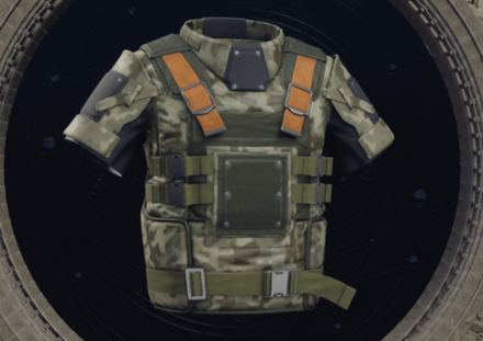 Riot Vest Image