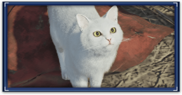 FF7 Rebirth - My White-Haired Angel