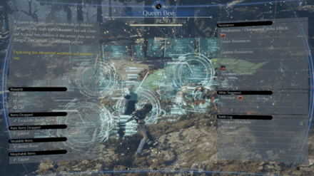 Queen Bee Weaknesses