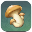 Special Mushroom