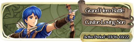 Grand Hero Battle: Castor Banner