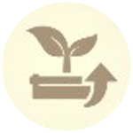 Genshin - Alchemical Ascension - Highly Effective Cultivation