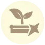 Genshin - Alchemical Ascension - Thorough Analysis