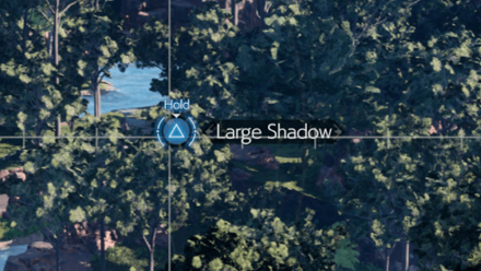 Observe Large Shadow