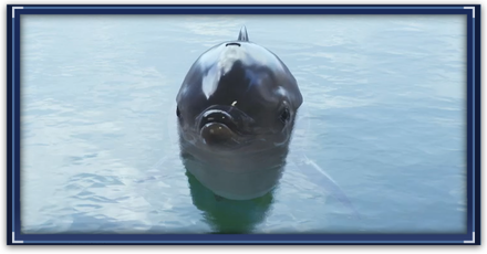 FF7 Rebirth - Tides of War and Worry