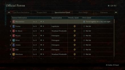 Dragons Dogma 2 - Official Pawn