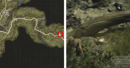 2 - Near Gathering of Beasts