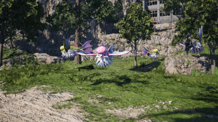 Citripine Schoolmaster