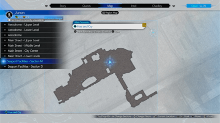 Junon Security Officer