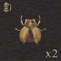 Golden Trove Beetle
