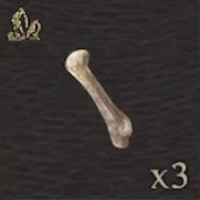 Rugged Bone