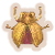 Golden Trove Beetle