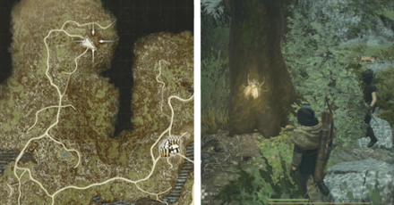 Northwest of Borderwatch