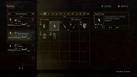 Dragons Dogma 2 - Main Pawn Item After Re-Recruitment