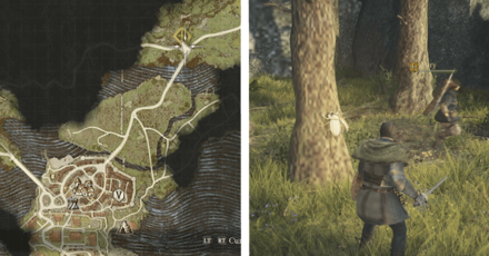 Golden Trove Beetle North of Vernworth