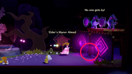 Princess Peach Showtime - Ninjutsu: The Art of Rapids Hide and Seek Theet Location 1