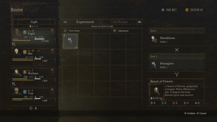 Dragons Dogma 2 - Crafting Bunch of Flowers