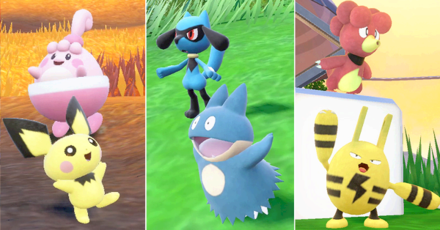 Pokemon SV The Indigo Disk DLC - Baby Pokemon Outbreak Banner