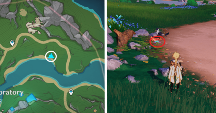 Genshin - Lumitoile Location 3