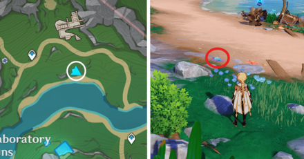 Genshin - Lumitoile Location 1