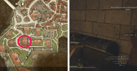 Dragons Dogma Courtly Tunic Noble Quarters