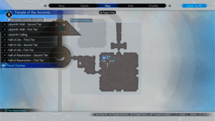 Moss Grown Adamantoise