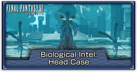 FF7 Rebirth - Biological Intel Head Case