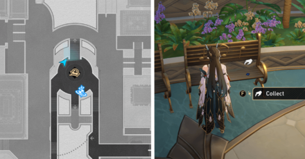 Honkai Star Rail - Robin Location