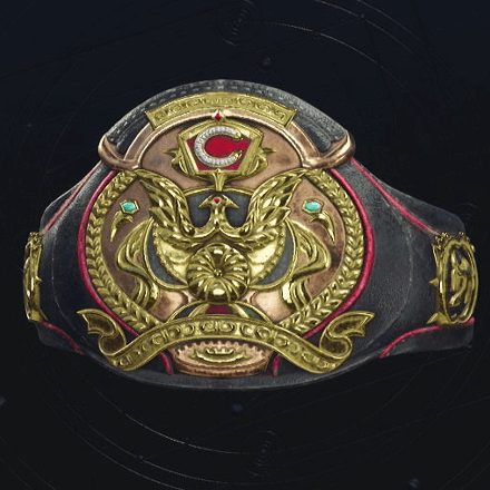 Champion Belt Image