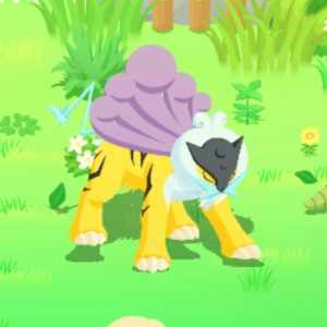 Pokemon Sleep - Meditative Sleep