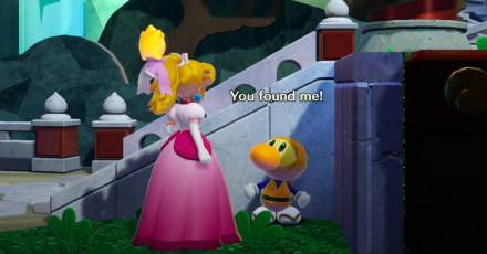 Princess Peach Showtime - Ninja Theet