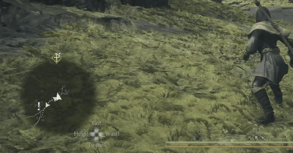 DD2 - Excalamation Point