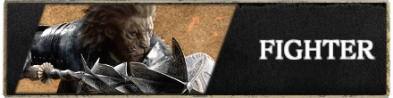 Dragons Dogma 2 - Fighter Partial Banner